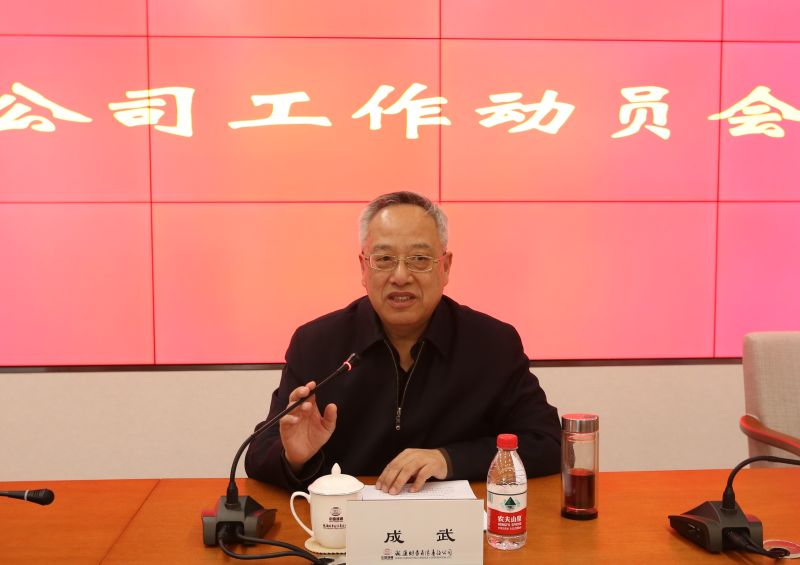 成武