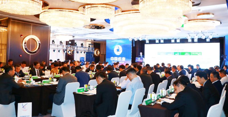 中国纸业2020工作会议