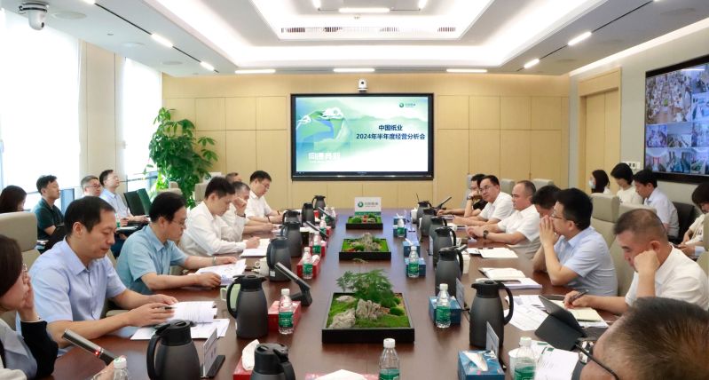 中国纸业1 中国纸业1